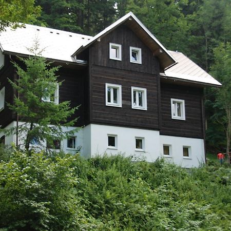 Willa Na Cernem Potoce Rokytnice nad Jizerou Pokój zdjęcie